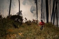 Var : après une accalmie, le feu de Correns repart ce dimanche après-midi
