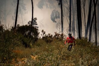 Var : après une accalmie, le feu de Correns repart ce dimanche après-midi