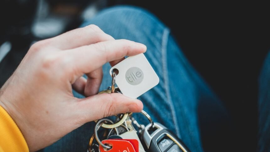 Sa voiture volée était immatriculée au nom d&rsquo;Emmanuel Macron