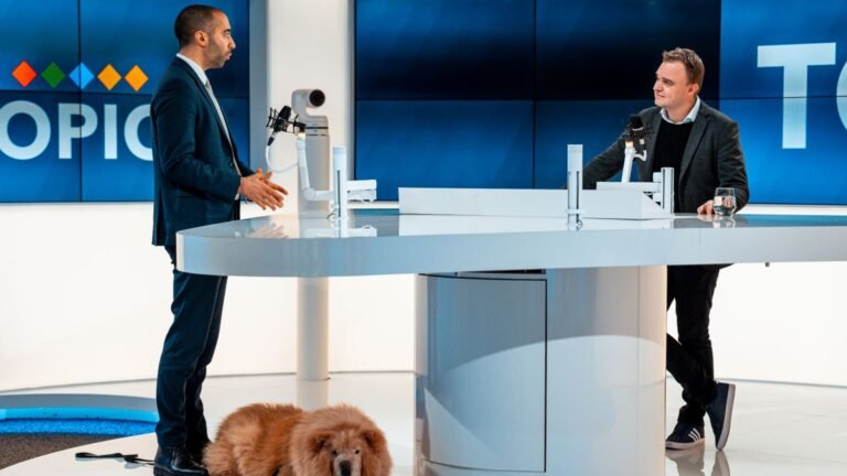 Audiences télématin : la formule sans damien thévenot gagne 2,5 points video, perroquet, chante, rihanna, fascine