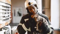Chaton saumos : sauvé d'une poubelle, il intègre la caserne de bassens Claude Money