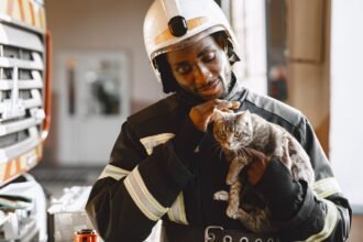 Chaton Saumos : sauvé d'une poubelle, il intègre la caserne de Bassens