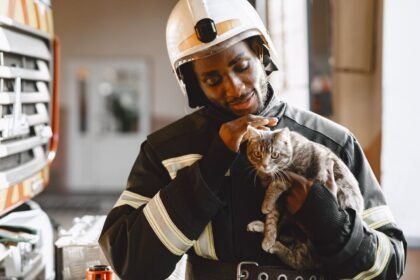 Chaton Saumos : sauvé d'une poubelle, il intègre la caserne de Bassens