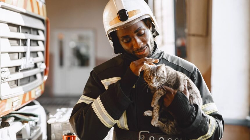 Chaton Saumos : sauvé d'une poubelle, il intègre la caserne de Bassens