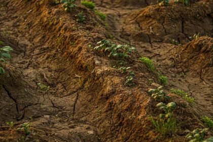 Plan d’urgence agricole reporté : les agriculteurs attendent toujours Plan d’urgence agricole reporté : les agriculteurs attendent toujours