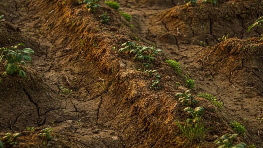 Plan d’urgence agricole reporté : les agriculteurs attendent toujours Plan d’urgence agricole reporté : les agriculteurs attendent toujours