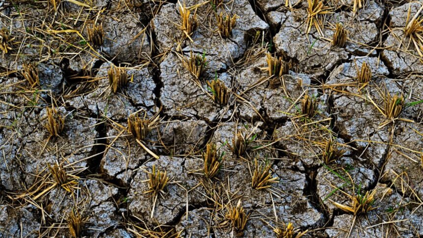 Sécheresse 2026 : plus d'un milliard d'euros pour sauver l'agriculture sécheresse agriculture 2026