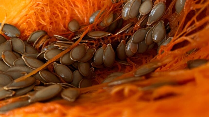 Alerte sanitaire : 81 cas de salmonellose liés à des graines de courge vendues chez grand frais salmonellose graines courge Grand Frais