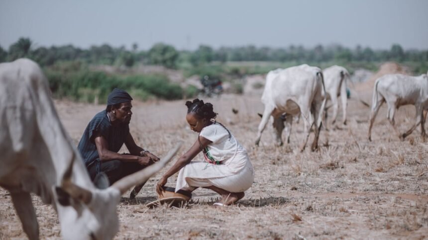 Sécheresse : les syndicats agricoles rejettent le plan d'un milliard et menacent de mobiliser syndicats agricoles sécheresse plan aide
