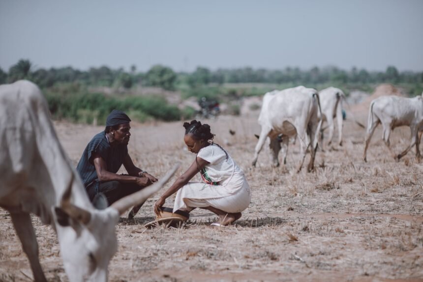 syndicats agricoles sécheresse plan aide