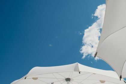 Canicule : jusqu'à 40°c attendus en france dès jeudi Canicule : jusqu’à 40°C attendus en France dès jeudi