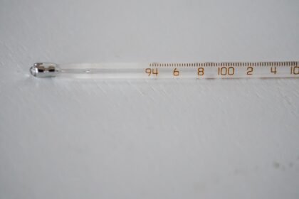 Canicule tardive : jusqu'à 40°c attendus ce dimanche dans le sud de la france Canicule tardive : jusqu'à 40°C attendus ce dimanche dans le Sud de la France