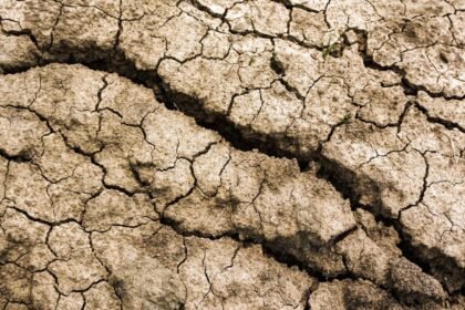 Été 2026 : le plus chaud jamais enregistré en France depuis 1900