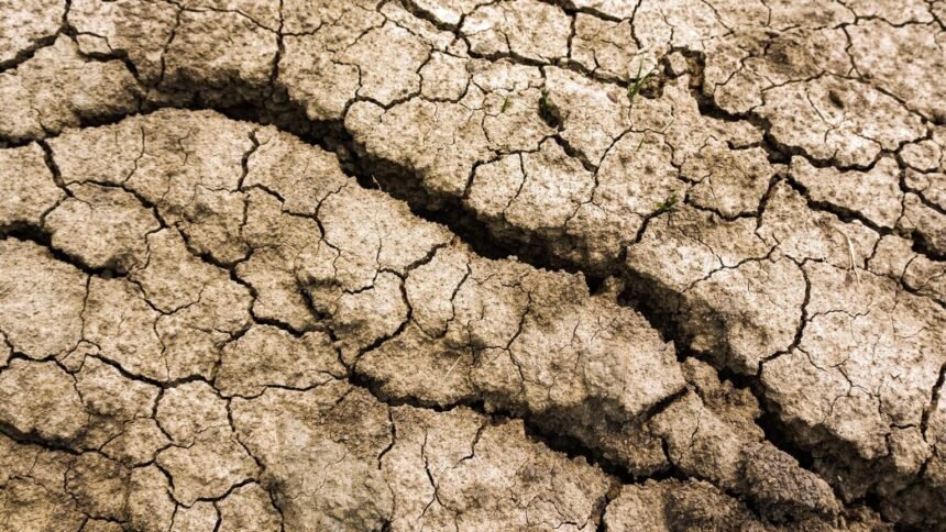 Été 2026 : le plus chaud jamais enregistré en France depuis 1900