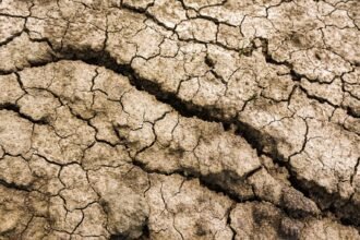 Été 2026 : le plus chaud jamais enregistré en France depuis 1900