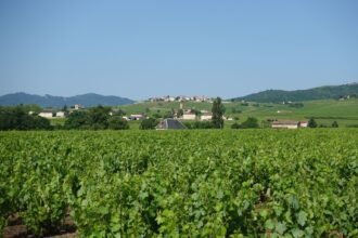 Haute-Saône : drame familial à Gy, quatre morts dont deux enfants