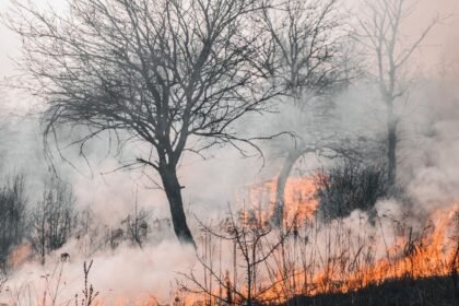 Incendies : le massif du rhône interdit d'accès, six départements en risque élevé Incendies : le massif du Rhône interdit d’accès, six départements en risque élevé