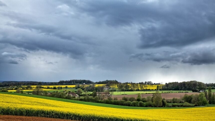 Météo : la France va perdre 15°C en quatre jours après la canicule