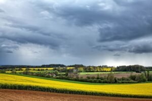 Météo : la France va perdre 15°C en quatre jours après la canicule