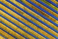 Solaire : la France franchit la barre des 34 gigawatts installés