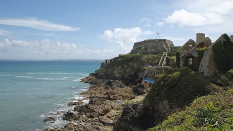 Fort boyard : les travaux à 44 millions d'euros, le tournage continue audiences TV vendredi 24 juillet