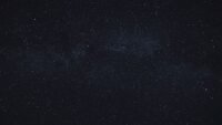 Horoscope du samedi 19 septembre : ce que disent les astres vautour La Flèche