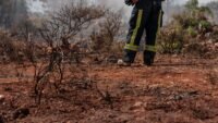 Incendie de plombières-lès-dijon : le feu est fixé, 12 hectares ont brûlé vigilance rouge hérault