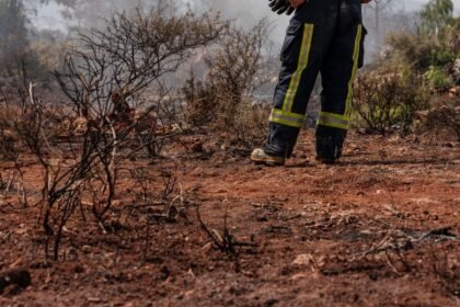 Incendie de Plombières-lès-Dijon : le feu est fixé, 12 hectares ont brûlé