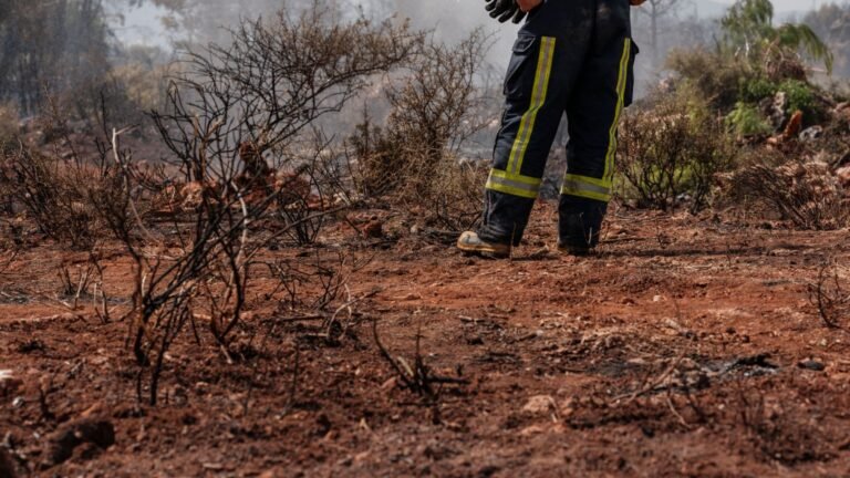 Incendie de plombières-lès-dijon : le feu est fixé, 12 hectares ont brûlé afida, turner, candidate, la8230, présidentielle