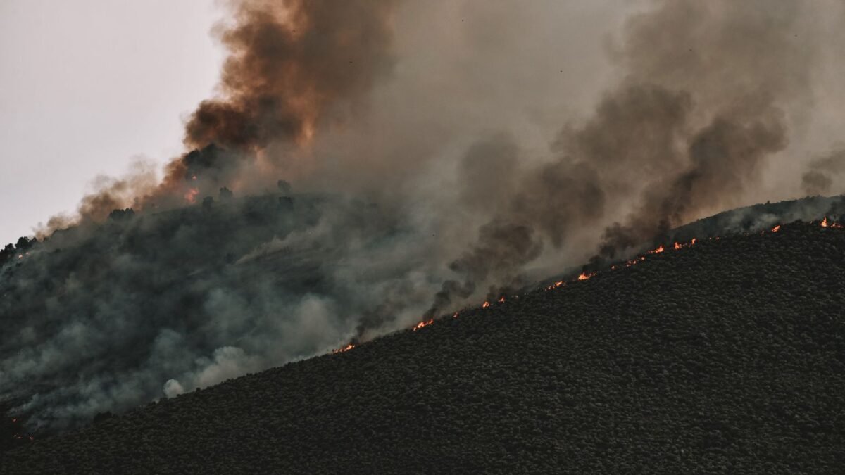 Incendie de Désaignes : neuf habitants évacués, 30 hectares parcourus en Ardèche