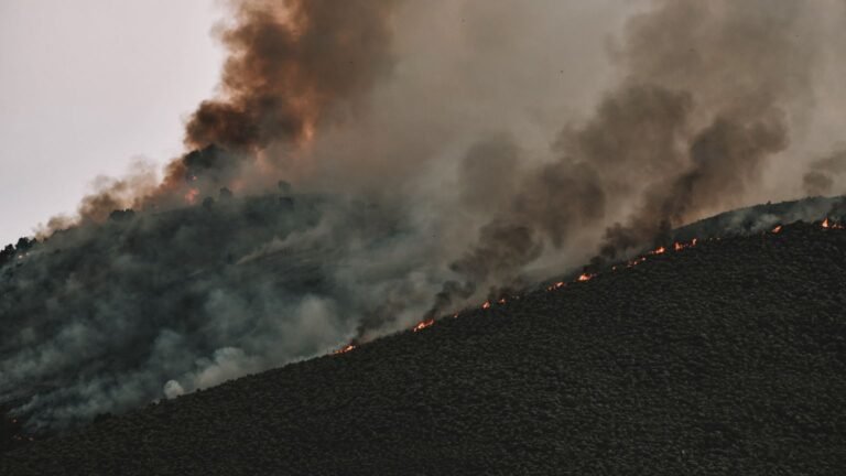 Incendie de désaignes : neuf habitants évacués, 30 hectares parcourus en ardèche vidÉo, elsa, esnoult, évoque, rêve