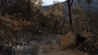 Incendie du porge : une cinquantaine de plaintes déposées à bordeaux X détection contenu IA