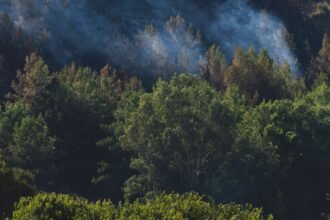 Incendie à Lüe : le feu est fixé, au moins 190 hectares brûlés dans les Landes