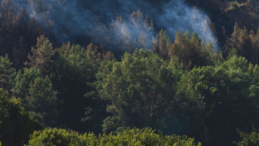 Incendie à lüe : le feu est fixé, au moins 190 hectares brûlés dans les landes Incendie à Lüe : le feu est fixé, au moins 190 hectares brûlés dans les Landes