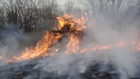 Incendie à lüe : au moins 100 hectares brûlés, trains coupés vers morcenx canicule, en france, jusqursquoà, 38c, attendus