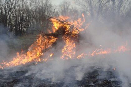 Incendie à Lüe : au moins 100 hectares brûlés, trains coupés vers Morcenx