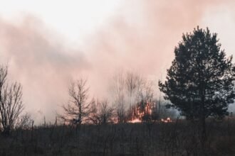 Incendie près de Mimizan : 60 hectares brûlés à Saint-Paul-en-Born