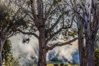 Incendie a Plaissan : 8 hectares brules, deux villas evacuees dans l'Herault