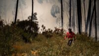 Incendie à plombières-lès-dijon : 10 hectares brûlés, 120 pompiers, tgv bloqués Motus et cœur cousu
