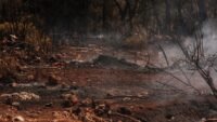 Incendie ronno (rhône) : 150 pompiers, un bâtiment de 600 m² détruit horoscope du jour