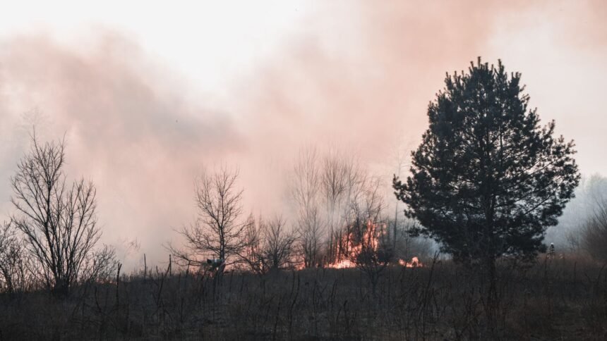 Incendie dans le Beaujolais : 120 pompiers a Saint-Clement-sur-Valsonne, 3 routes coupees