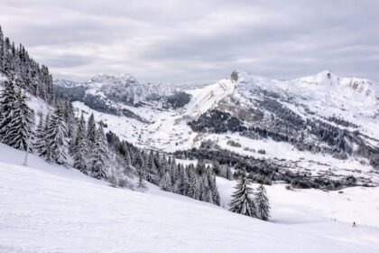 JO Alpes 2030 : Grospiron parti, toujours aucun successeur au Cojop