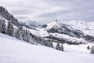 JO Alpes 2030 : Grospiron parti, toujours aucun successeur au Cojop