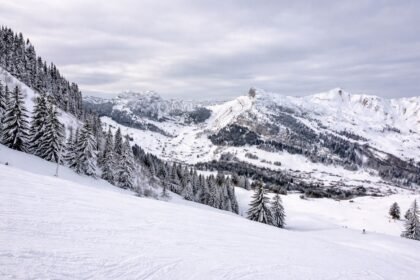 JO Alpes 2030 : Grospiron parti, toujours aucun successeur au Cojop