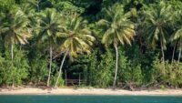 Koh-lanta all stars : 2,87 millions mardi dernier, la stagiaire en avait 3,47 transports scolaires gard