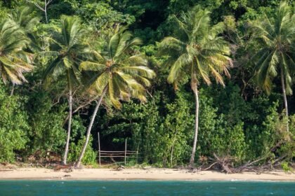 Koh-Lanta All Stars : 2,87 millions mardi dernier, La stagiaire en avait 3,47
