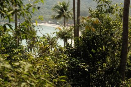 Audiences Koh-Lanta All Stars : 2,74 millions, au-dessus des Reliques du destin