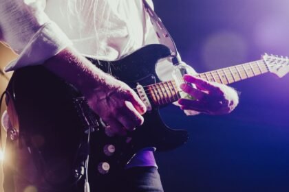 Le Festival Django Reinhardt fêtera ses 50 ans du 05 au 08 juillet à Fontainebleau