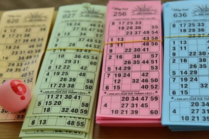 Loto du samedi 12 septembre : les numéros gagnants de ce soir