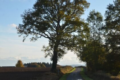 Jusqu'à 30 °C ce vendredi : un été indien s'installe sur toute la France